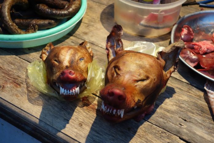 Dog_meat_in_Ninh_Binh
