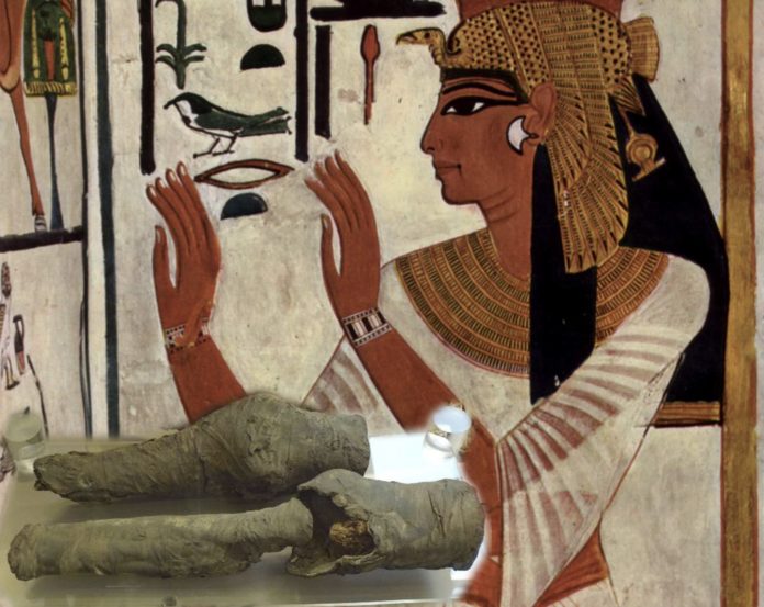 nefertari_004