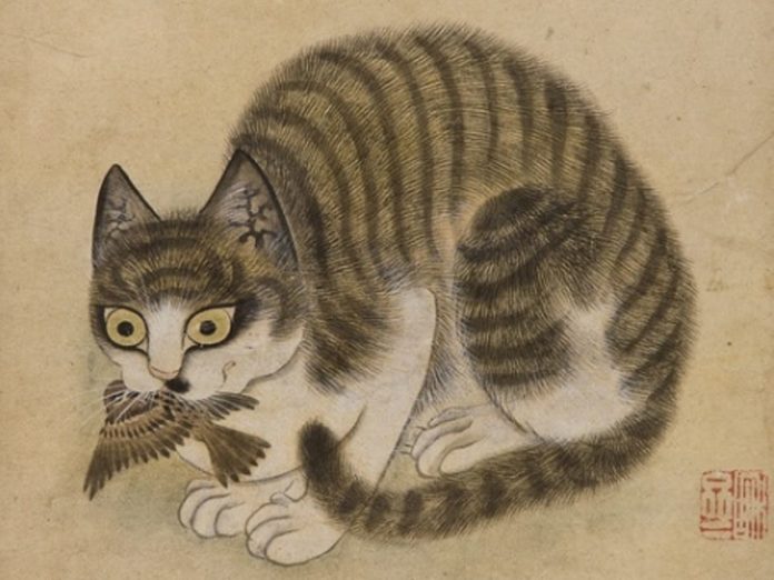 Cat01