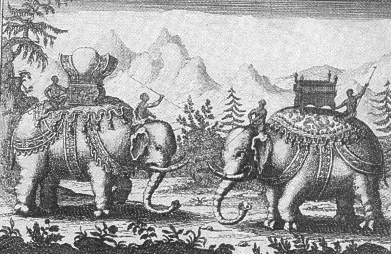 ภาพวาด ช้างทรง ช้างเผือก ของ พระนารายณ์