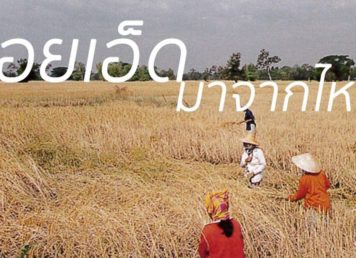 ทุ่งนา ชาวนา ร้อยเอ็ด
