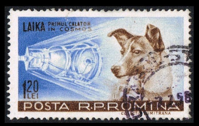 Laika