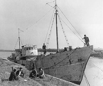 เรือ Daigo Fukuryū Maru