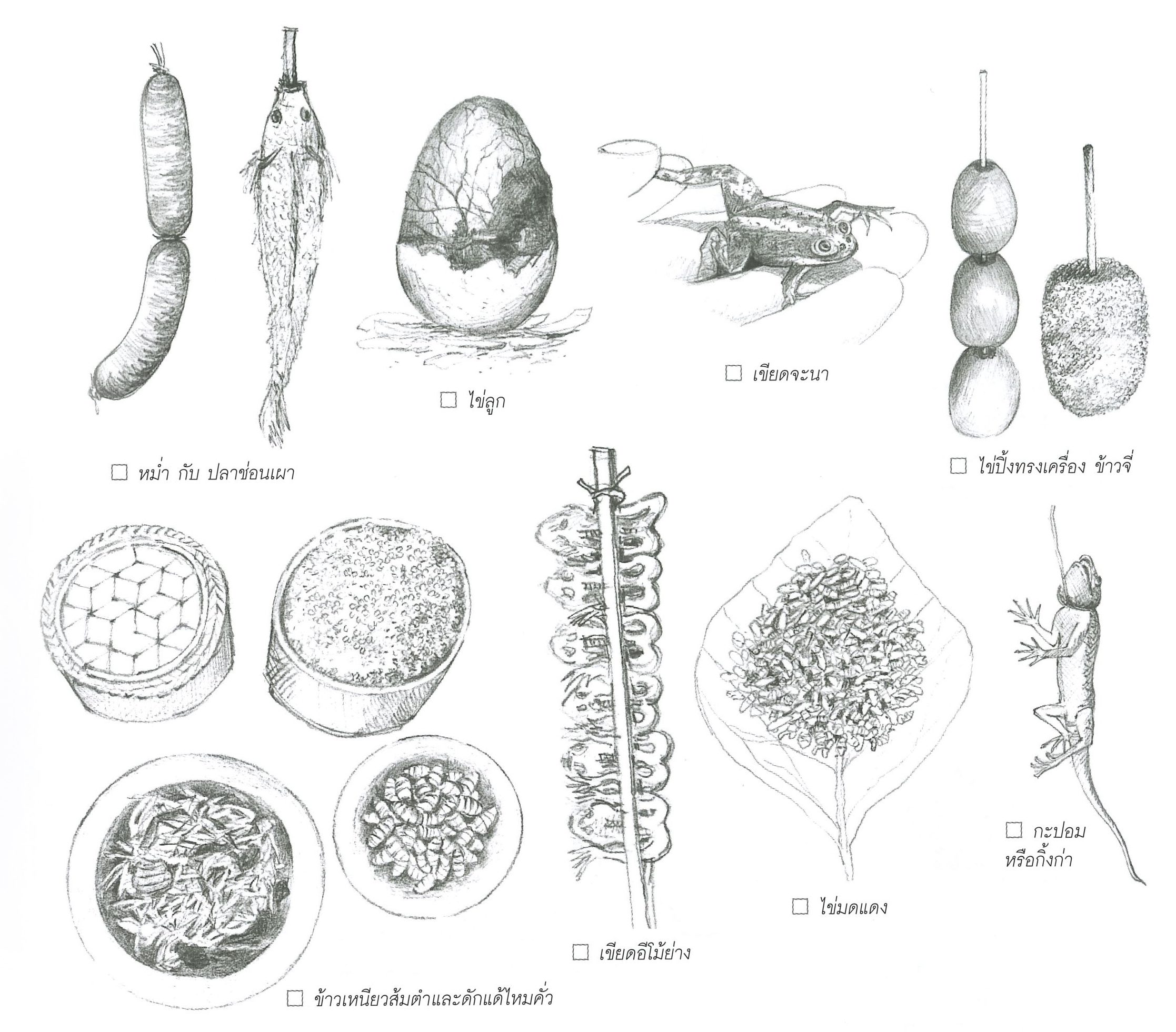 ภาพลายเส้น วัตถุดิบ อาหาร