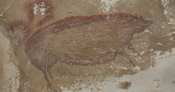 ภาพวาด ผนังถ้ำ หมู อินโดนีเซีย
