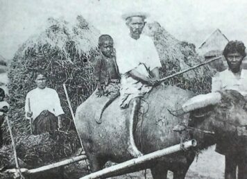 ทุ่งรังสิต คลองรังสิต