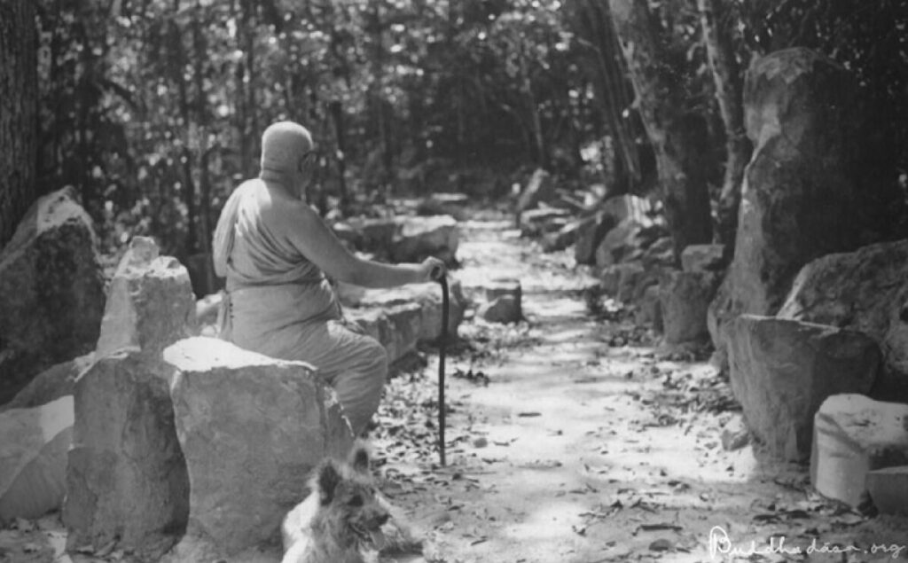 พุทธทาสภิกขุ สวนโมกขพลาราม สุราษฎร์ธานี บ้านเกิดเทนนิส-พาณิภัค