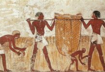 ภาพวาด ชาวนา อียิปต์โบราณ อาหาร