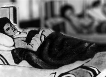 ไทฟอยด์ แมรี่ นอน บน เตียง ใน โรงพยาบาล