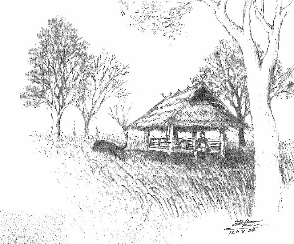 ภาพวาด เถียงนา