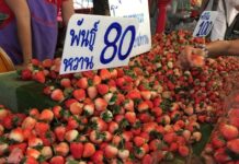 สตรอว์เบอร์รี (strawberry)