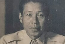 ภาพถ่าย กุหลาบ สายประดิษฐ์