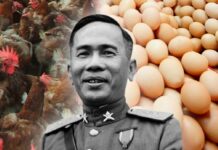 จอมพล ป. พิบูลสงคราม นโยบาย เลี้ยงไก่ เอา ไข่