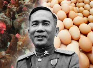 จอมพล ป. พิบูลสงคราม นโยบาย เลี้ยงไก่ เอา ไข่