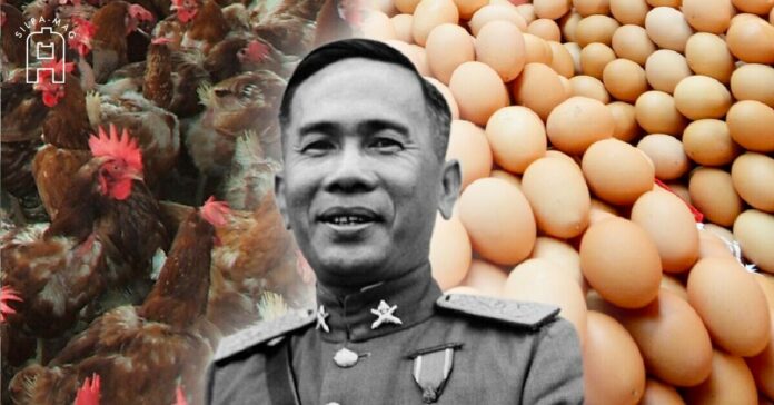 จอมพล ป. พิบูลสงคราม นโยบาย เลี้ยงไก่ เอา ไข่