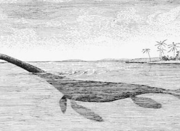 ภาพจำลอง เพลซิโอซอร์ สัตว์ประหลาด เนสซี ทะเลสาบ ล็อกเนสส์