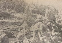 ประกอบ สุพรรณบุรี-ลพบุรี