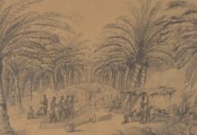 การทำ สวน ปาล์มน้ำมัน ในปี ค.ศ. 1844