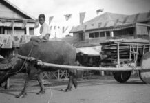 คาหนังคาเขา สำนวนไทย