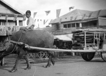 คาหนังคาเขา สำนวนไทย
