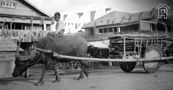 คาหนังคาเขา สำนวนไทย