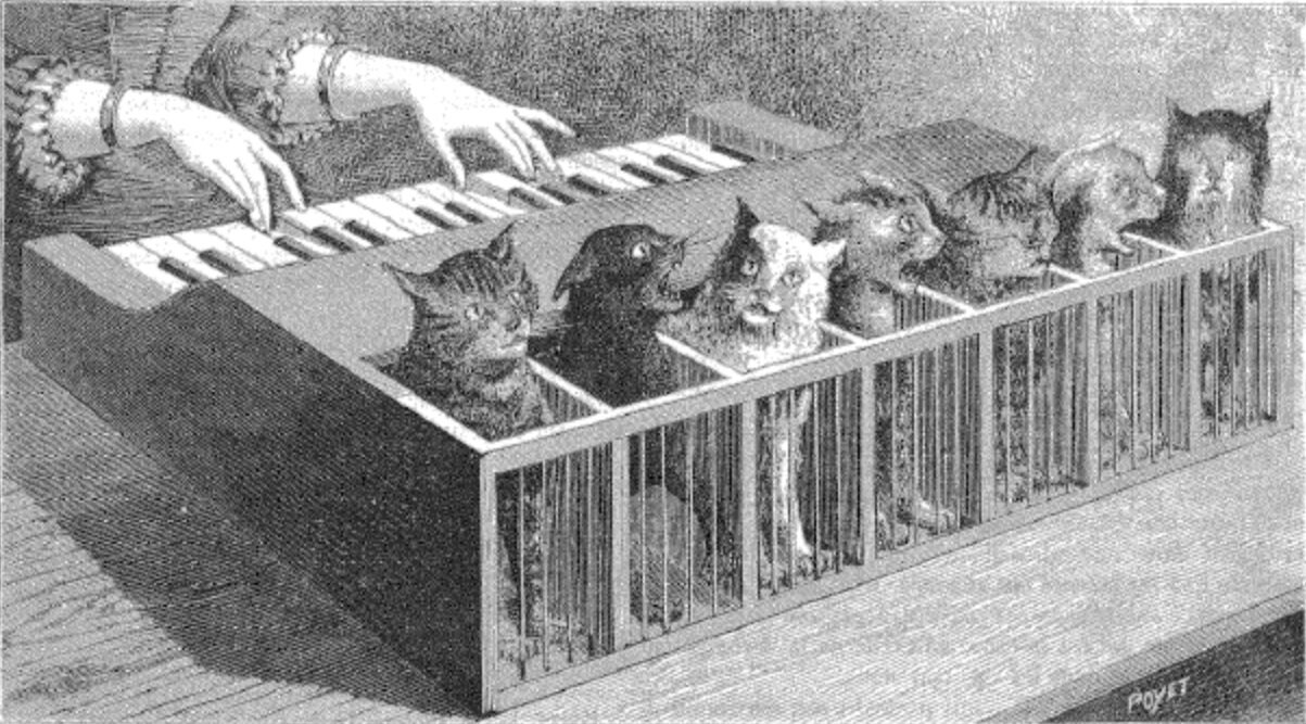 เปียโนแมว แมว