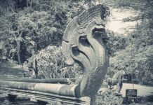 นาค เหรา