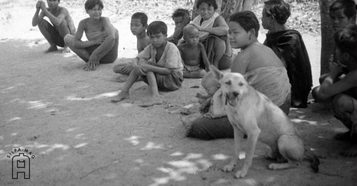 doggw หมา สุนัข