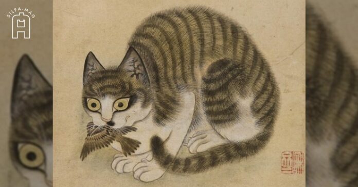 ภาพปก - Cat01