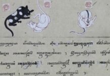 แมวด่าง แมวขาวปลอด ภาพเขียน