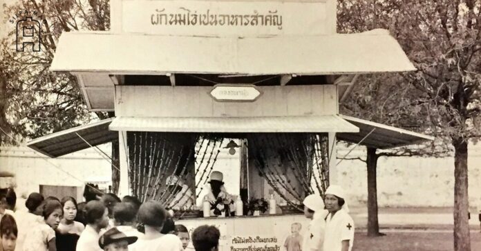ภาพปก - นมไข่ งานกาชาด ซุ้มกองอนามัย