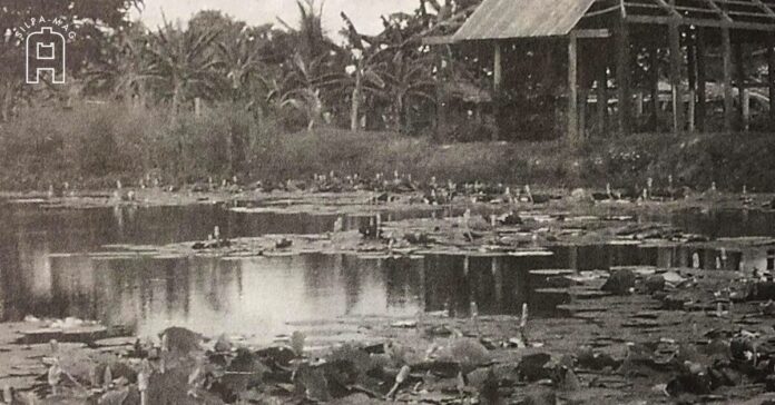 บ่อสุพรรณ อำเภอสองพี่น้อง สุพรรณบุรี