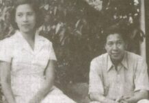 กุหลาบ สายประดิษฐ์ และ ชนิด สายประดิษฐ์ มนุษยภาพ