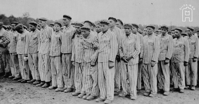 ภาพปก - เกย์ นาซีเยอรมัน เกย์ ชายรักร่วมเพศ นาซี ค่ายกักกัน Buchenwald