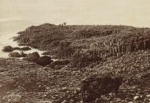 ทางเดินแห่งยักษ์ Giant's Causeway สะพาน
