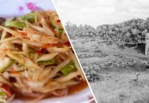 ส้มตำ ตำบักหุ่ง มะละกอ