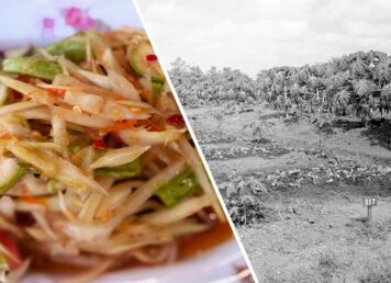 ส้มตำ ตำบักหุ่ง มะละกอ เข้าสู่ไทยเมื่อใด