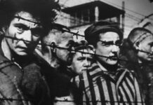 นักโทษชาวยิว ค่ายกักกัน การฆ่าล้างเผ่าพันธุ์