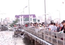 สถานตากอากาศบางปูหรือบางปู