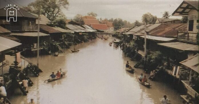 ภาพปก - ดูหิ่งห้อย คลองอัมพวา หิ่งห้อย