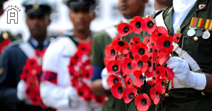 Cover photo poppy flower ดอกป๊อปปี้สีแดง ทหารผ่านศึก