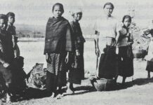ลาวล้านนา