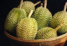 ทุเรียน ทุเรียนเมืองไทยมาจากไหน