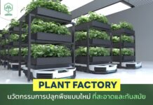Plant Factory นวัตกรรมการปลูกพืชแบบใหม่ ที่สะอาดและทันสมัย Plant Factory
