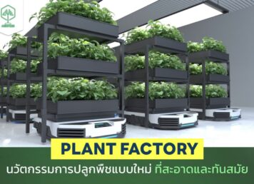 Plant Factory