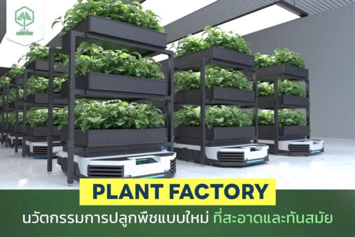 Plant Factory