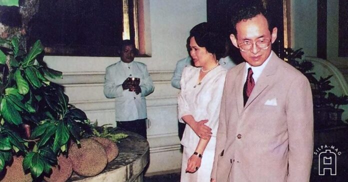 Cover photo ขนุนไพศาลทักษิณ ขนุน รัชกาลที่ 9 พระที่นั่งไพศาลทักษิณ พระบรมมหาราชวัง
