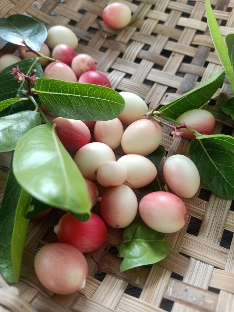 มะม่วงหาวมะนาวโห่