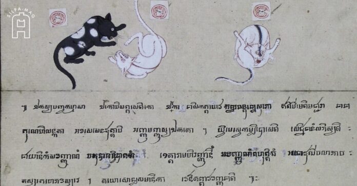 Cover แมวด่าง แมวขาวปลอด ภาพเขียน แมวให้คุณ แมวให้โทษ ตำราแมว