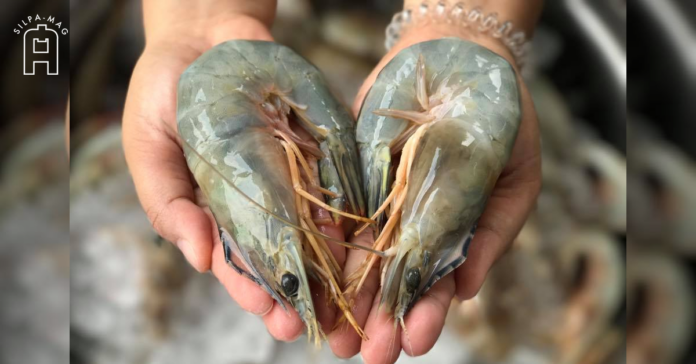 กุ้ง กุ้งแชบ๊วย